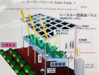 吉林三华农牧业集团 农牧业技术研究的创新与实践